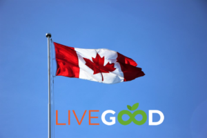Marketing sieciowy w kanadzie livegood canada